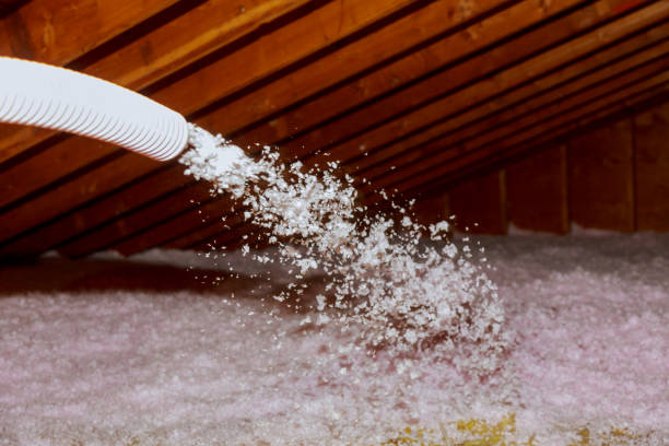 Best Specialty Insulation in Newport, MN