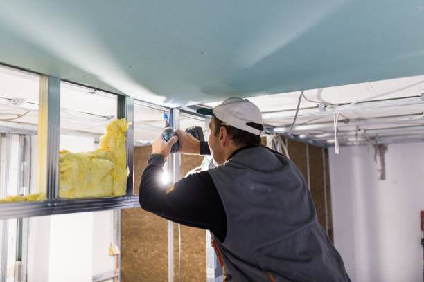 Best Insulation Installation Services in Newport, MN