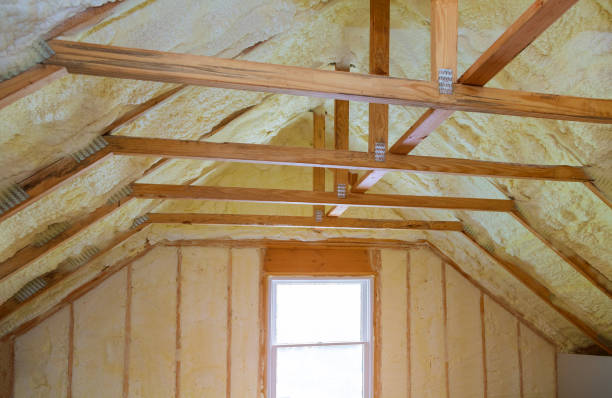 Best Residential Insulation in Newport, MN