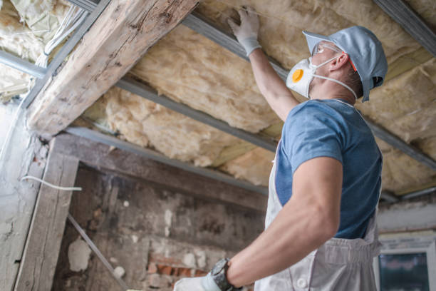 Best Energy Efficiency Solutions in Newport, MN