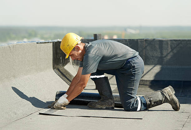 Best Insulation Maintenance and Repair in Newport, MN