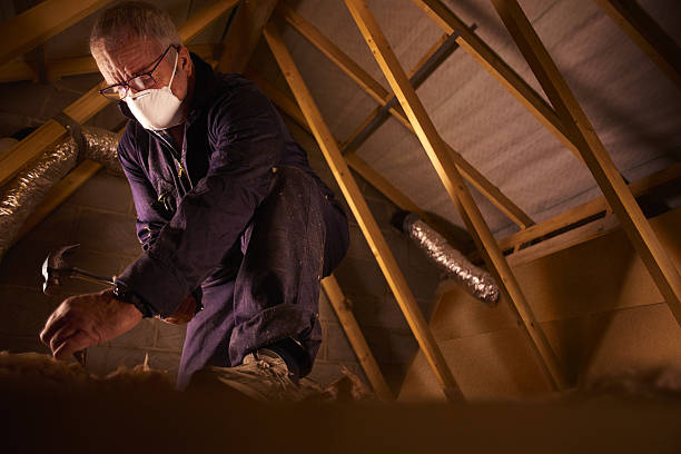 Best Insulation Installation Services in Newport, MN
